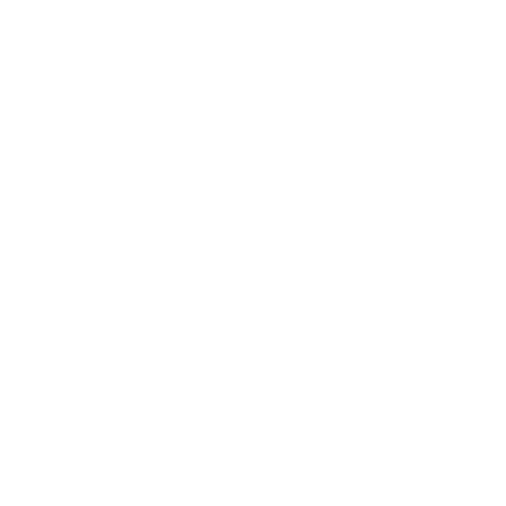 Drive wise logo